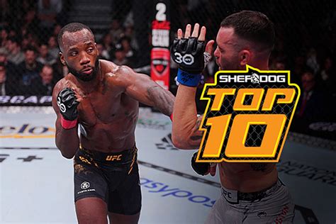 Recent Articles at Sherdog.com.
